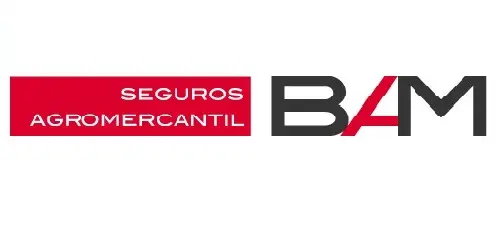 BAM logo